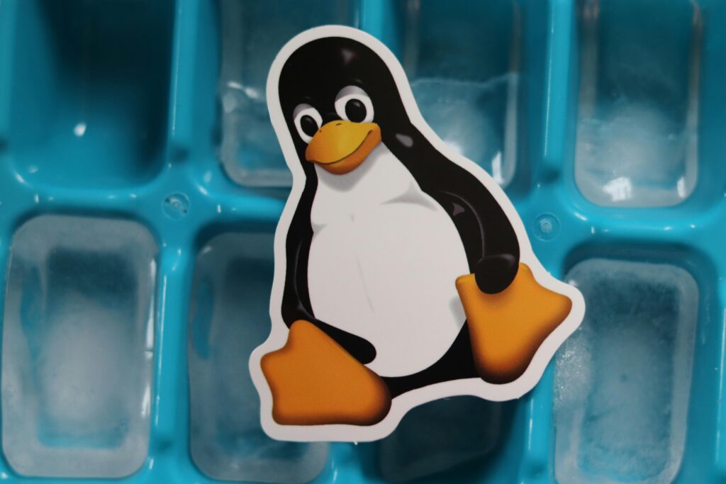 Le logo Linux imprimé et déposé sur des glaçons